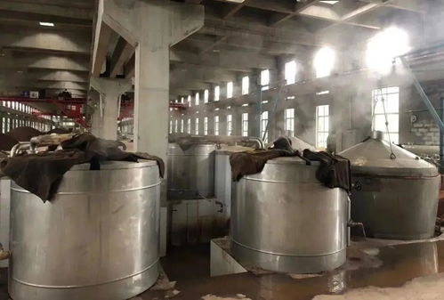 釣臺御品禮賓酒品鑒晚宴六月與您相伴5城 典雅醇香,回味悠長